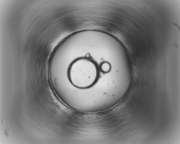 X0000102221046200808151700