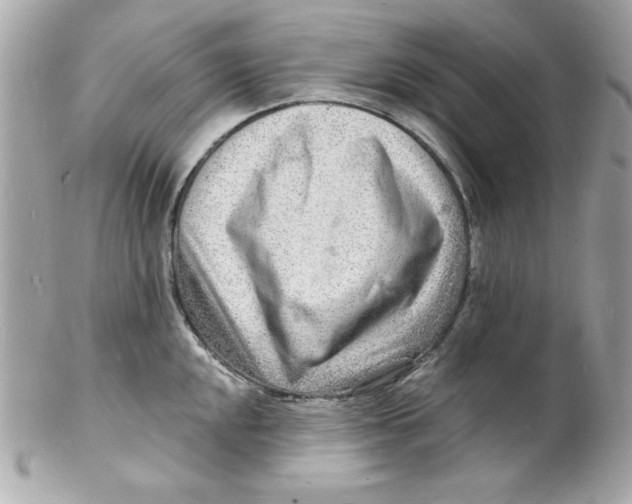 X0000102221048200808151700