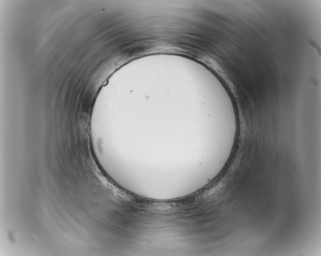 X0000102221049200808151700