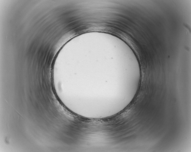 X0000102221050200808151701