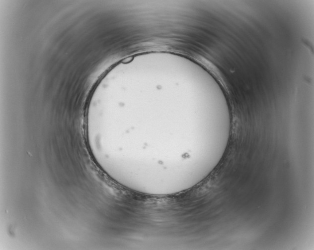 X0000102221051200808151701