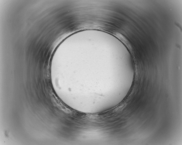 X0000102221052200808151701