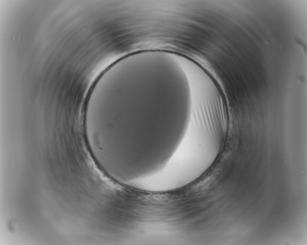 X0000102221053200808151701