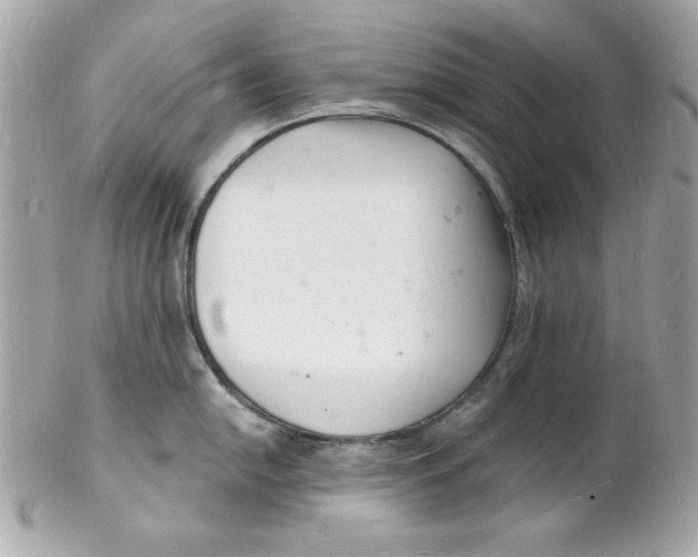 X0000102221054200808151701