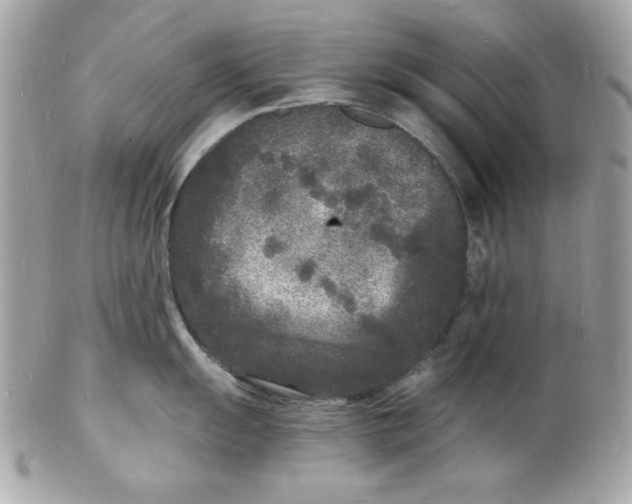 X0000102221055200808151701