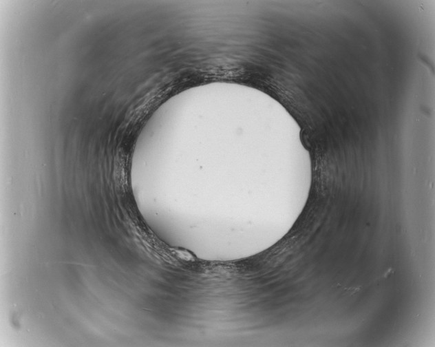 X0000102221058200808151700