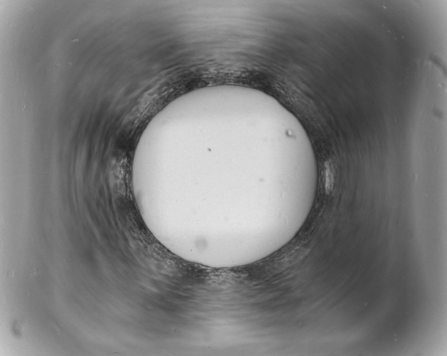 X0000102221059200808151700