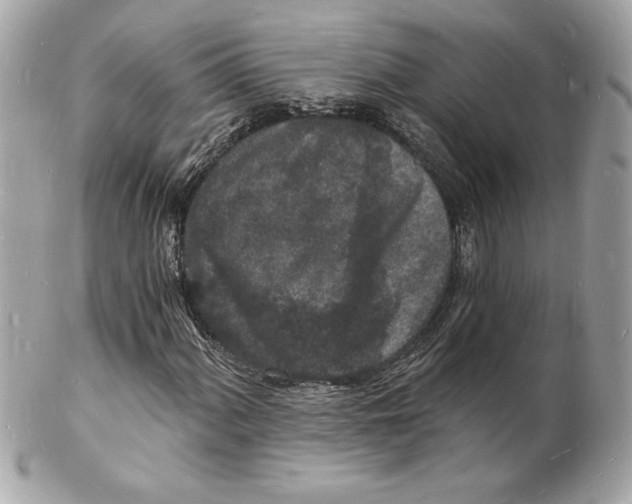 X0000102221060200808151700