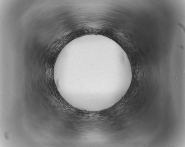 X0000102221061200808151700