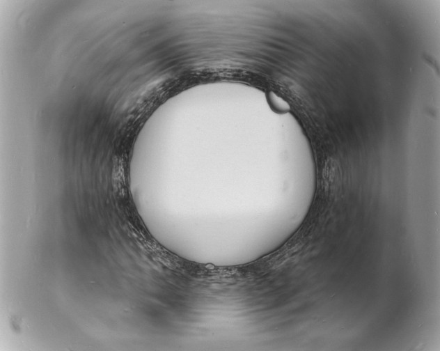 X0000102221062200808151700