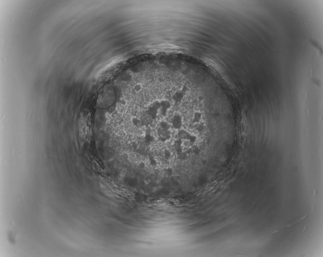 X0000102221063200808151700