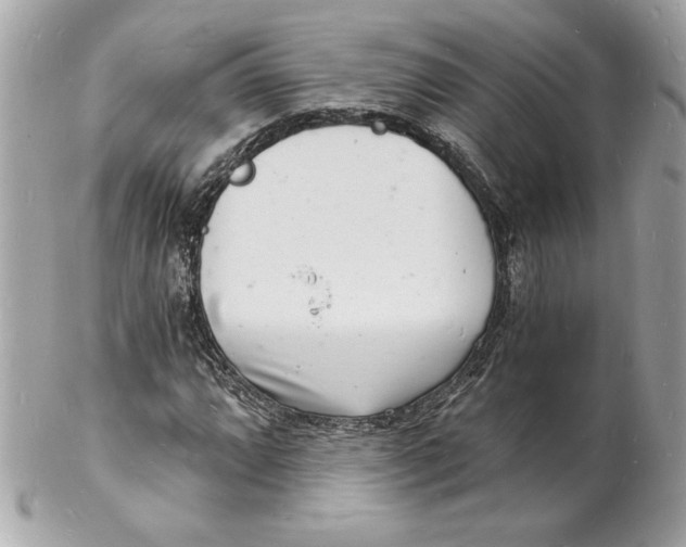 X0000102221064200808151700