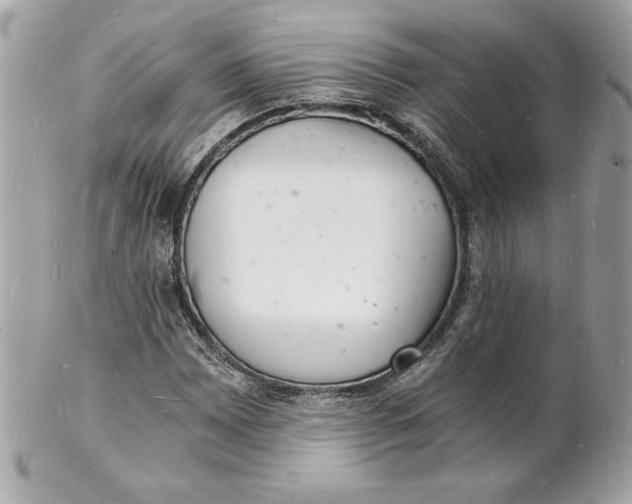 X0000102221065200808151700