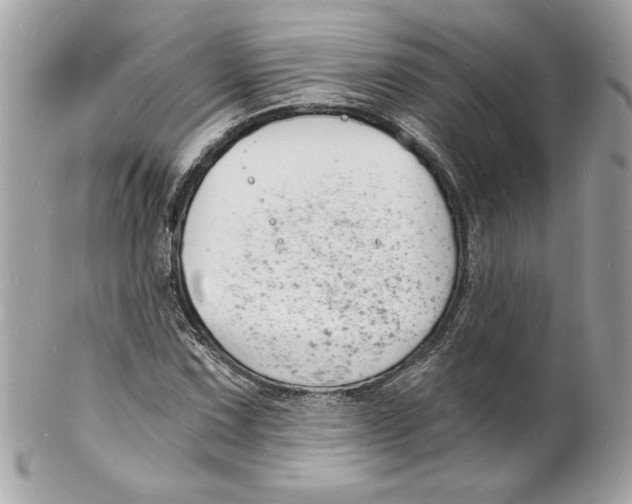 X0000102221067200808151700