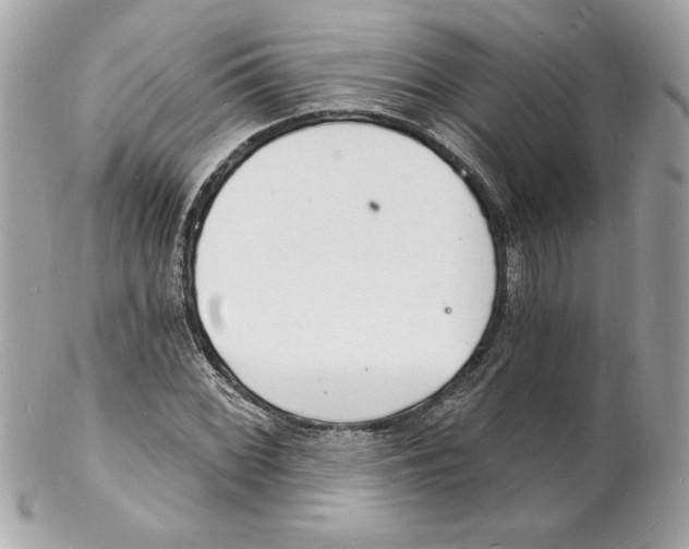 X0000102221068200808151700