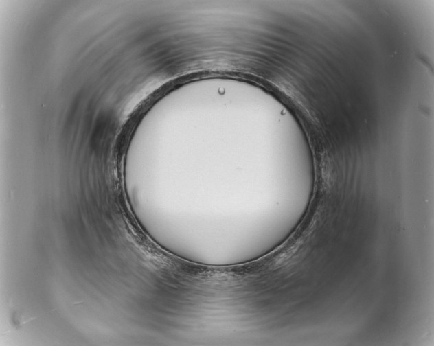 X0000102221070200808151700