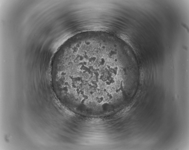 X0000102221071200808151700