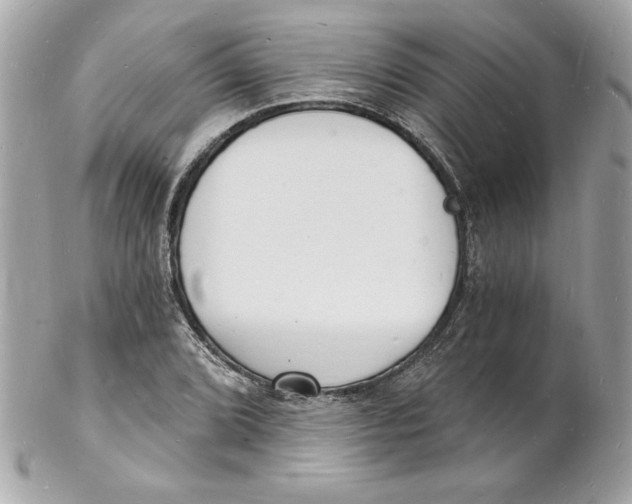 X0000102221072200808151700