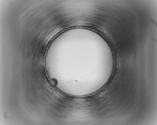 X0000102221073200808151700