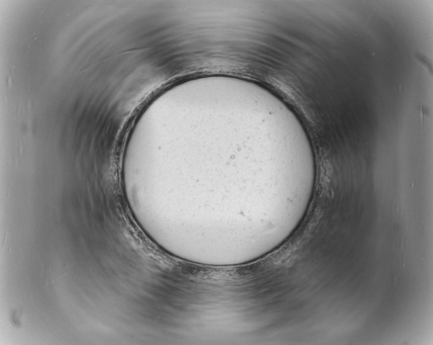 X0000102221074200808151700