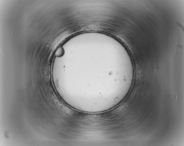 X0000102221075200808151700