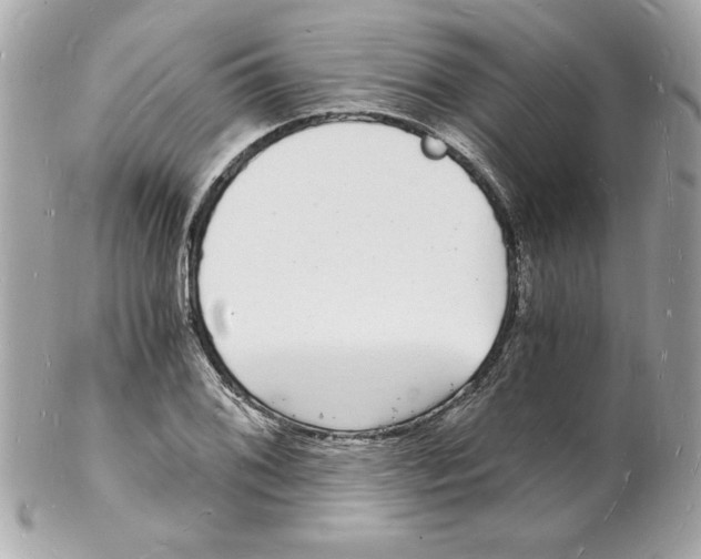 X0000102221076200808151700