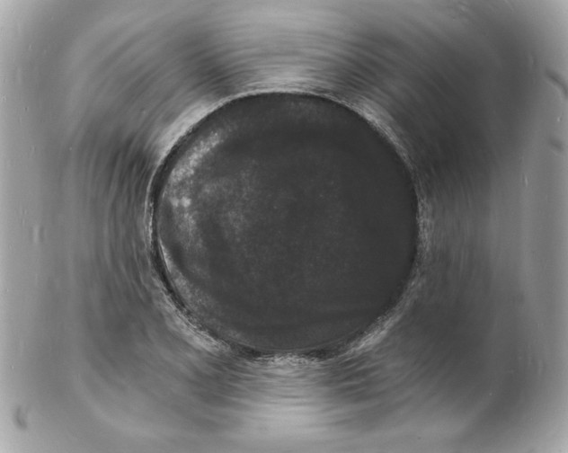 X0000102221077200808151700