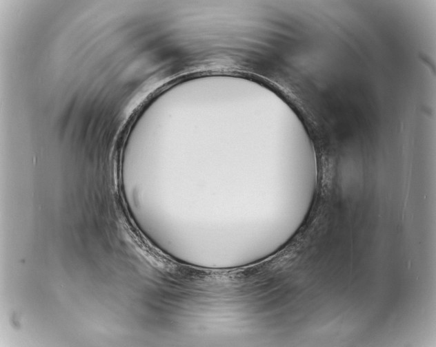 X0000102221078200808151700