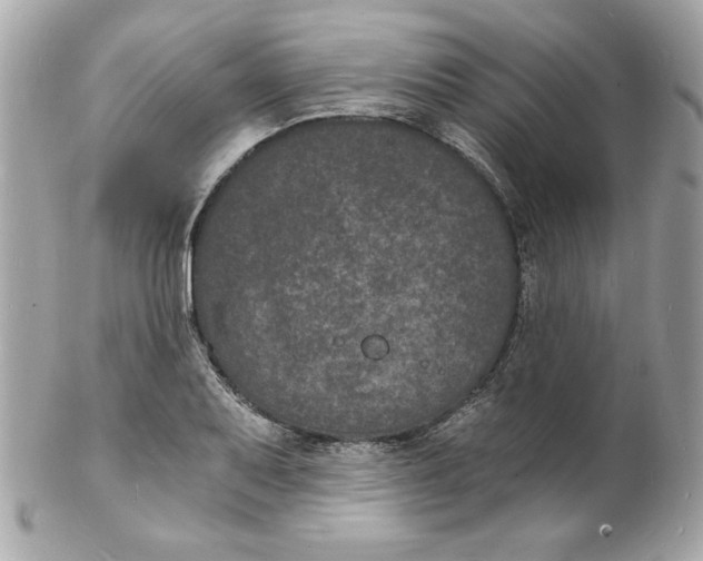 X0000102221079200808151700