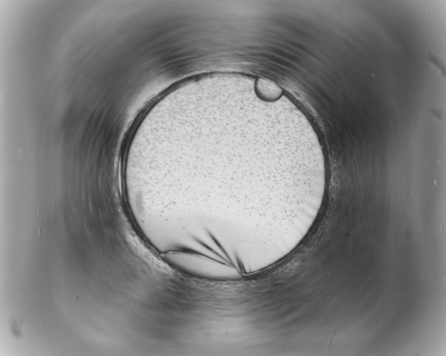 X0000102221080200808151700