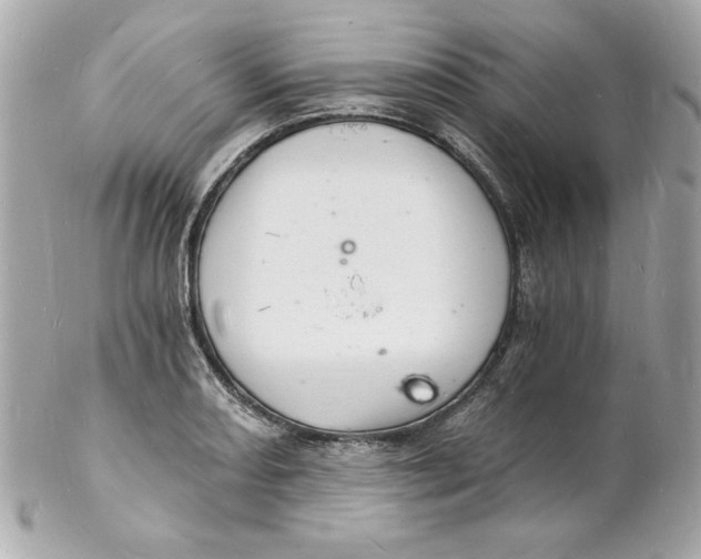 X0000102221082200808151659