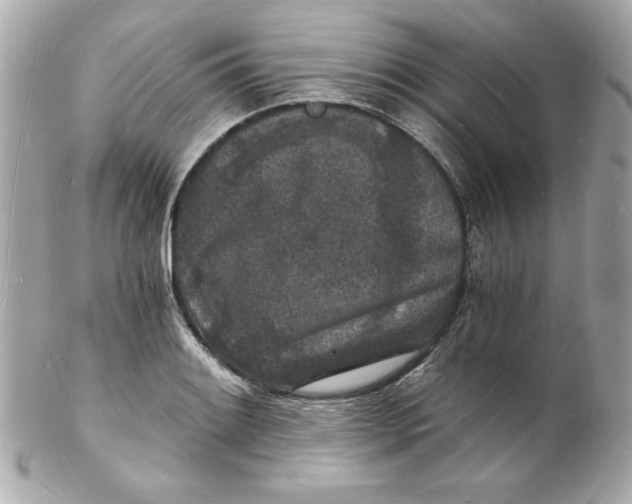 X0000102221084200808151659