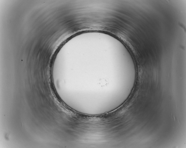 X0000102221085200808151659