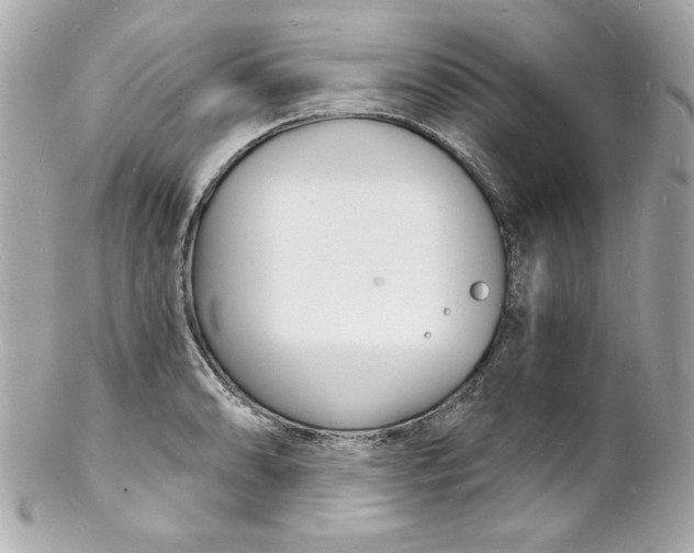 X0000102221086200808151659