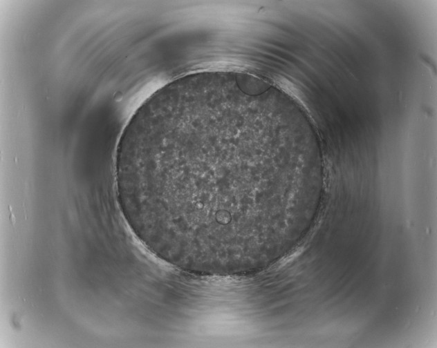 X0000102221087200808151659