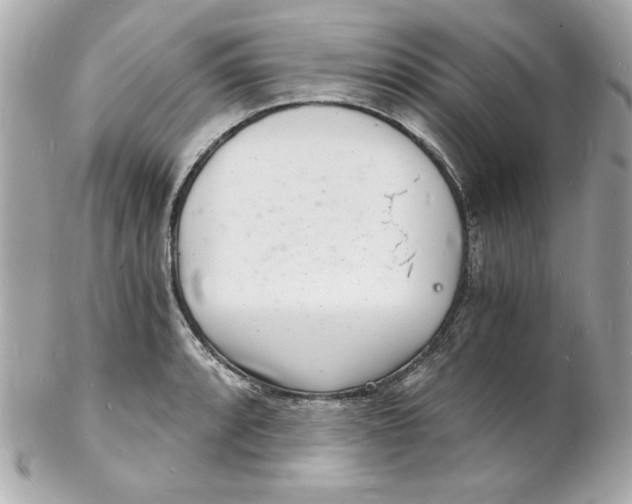 X0000102221088200808151659