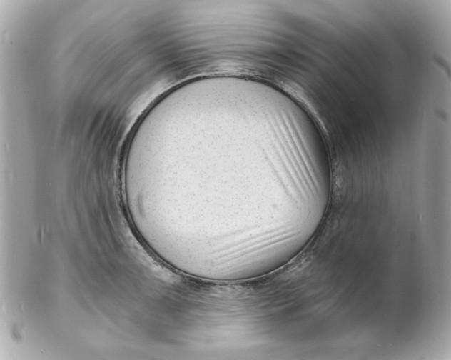 X0000102221091200808151659