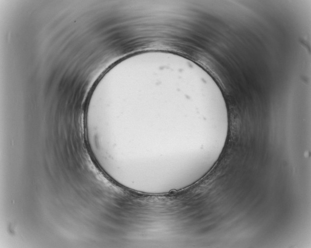 X0000102221092200808151659