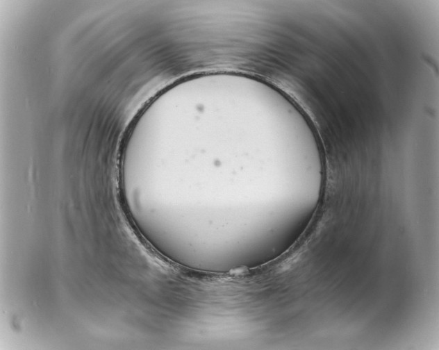 X0000102221093200808151659