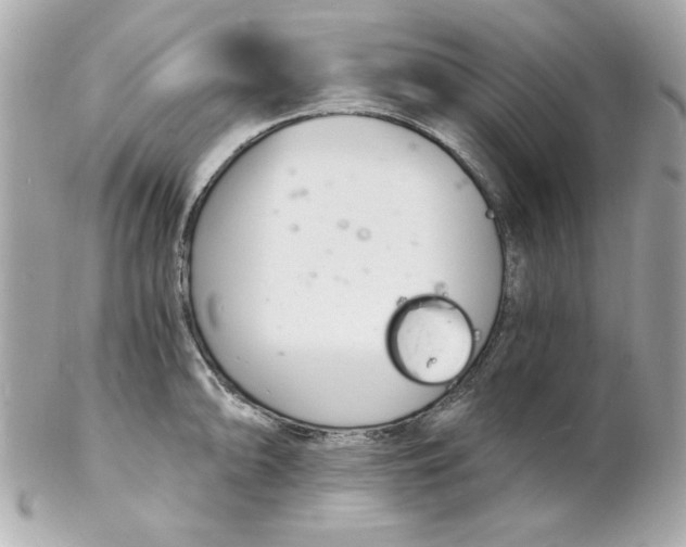 X0000102221094200808151659