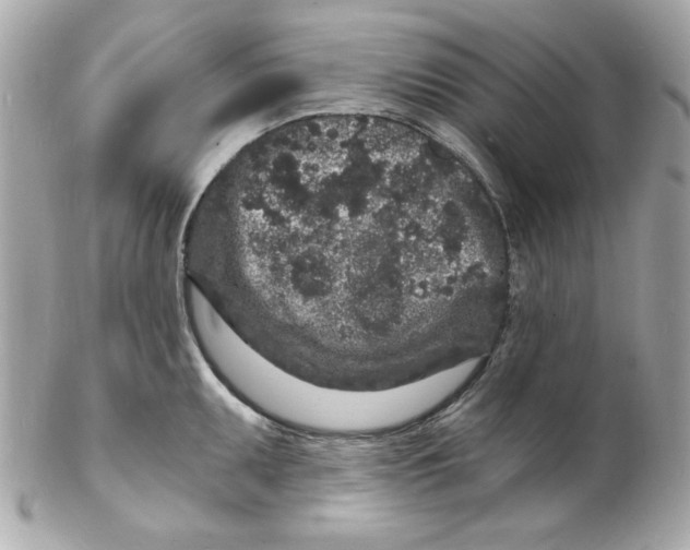 X0000102221095200808151659