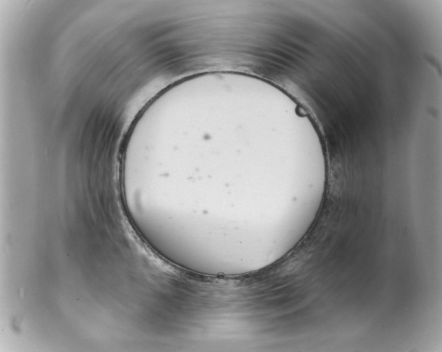 X0000102221096200808151659