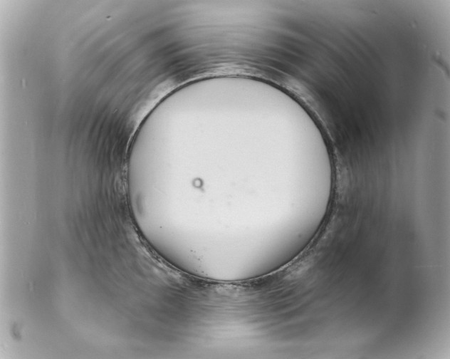 X0000102221097200808151659