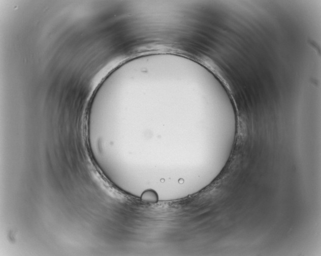 X0000102221098200808151659