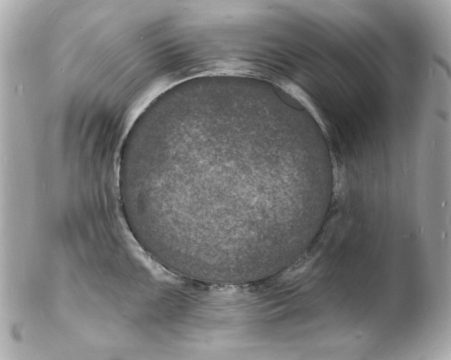 X0000102221099200808151659