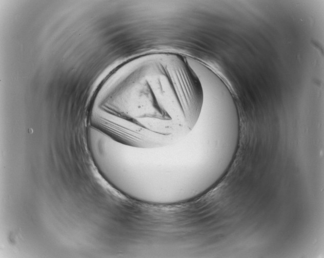 X0000102221100200808151659