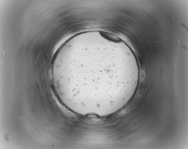 X0000102221101200808151659