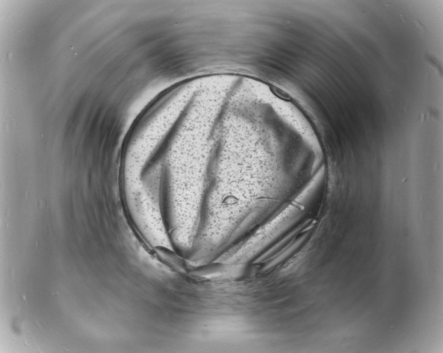 X0000102221102200808151659