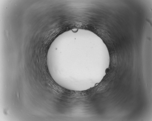 X0000102221105200808151658