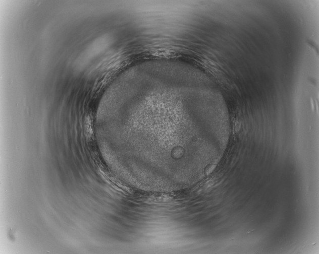 X0000102221106200808151658